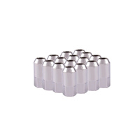 300-201 Wheel Nuts (3/8 x 24) - CHROME - Set of 16