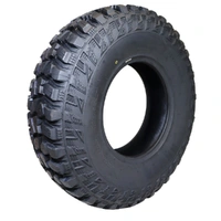 ARMOR WR2021 8 Ply Tyre - 30 x 10 - 14R Steel Belted